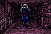 Drow Elf