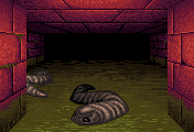 Giant Leech