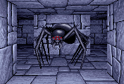 Giant Spider